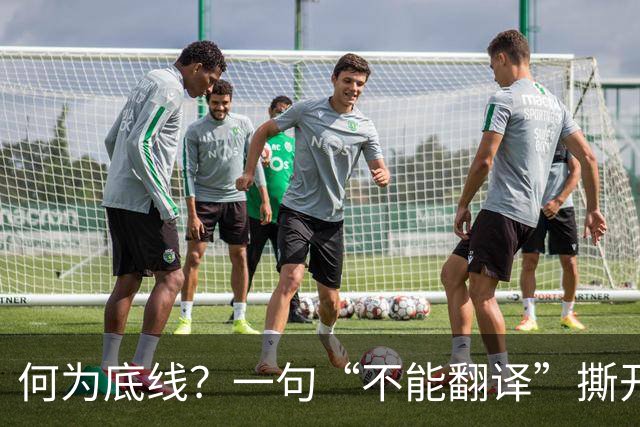 何为底线？一句“不能翻译”撕开真相，姆巴佩双标刺痛国人